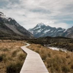 EmPOWERing Domestic Violence Survivors and Their Advocates