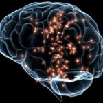 Brain Deterioration with Aging